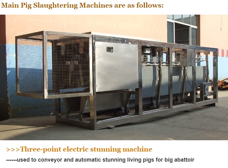 Complete Pig Slaughter Line Solution | Customized Turnkey Packages
