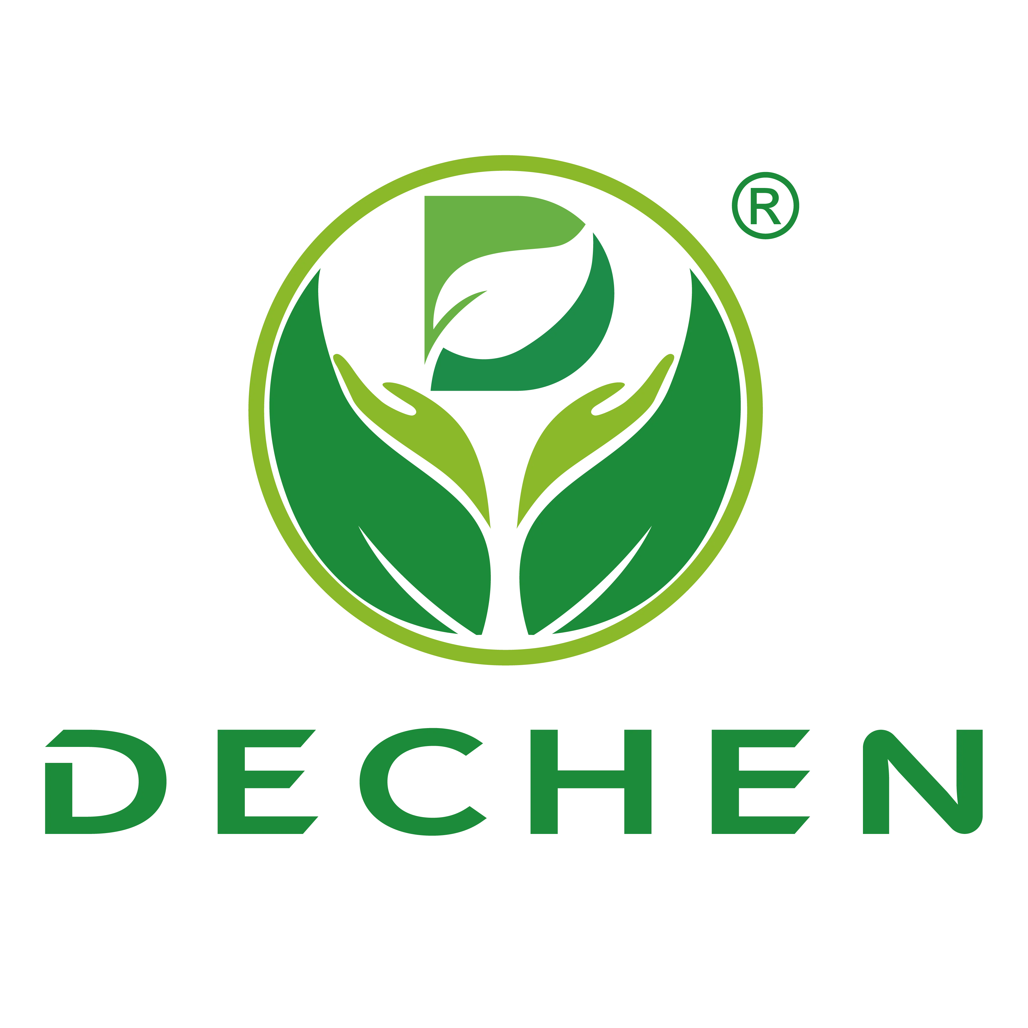 Laizhou Dechen Machinery Co., Ltd.