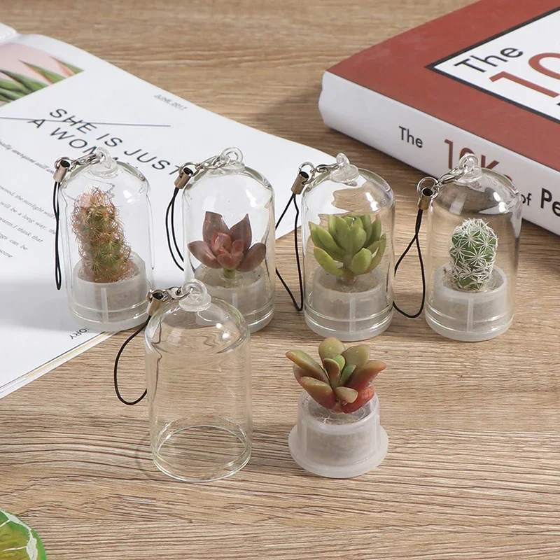 Sukkulente Pflanze Anhnger Mini Sukkulente Kaktus Pflanze Schlssel bund  Zufllige Pflanze Anhnger Schlssel ring Charme Mit Glas abdeckung  Handwerk Geschenke