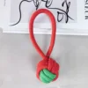 20 cm 60 g