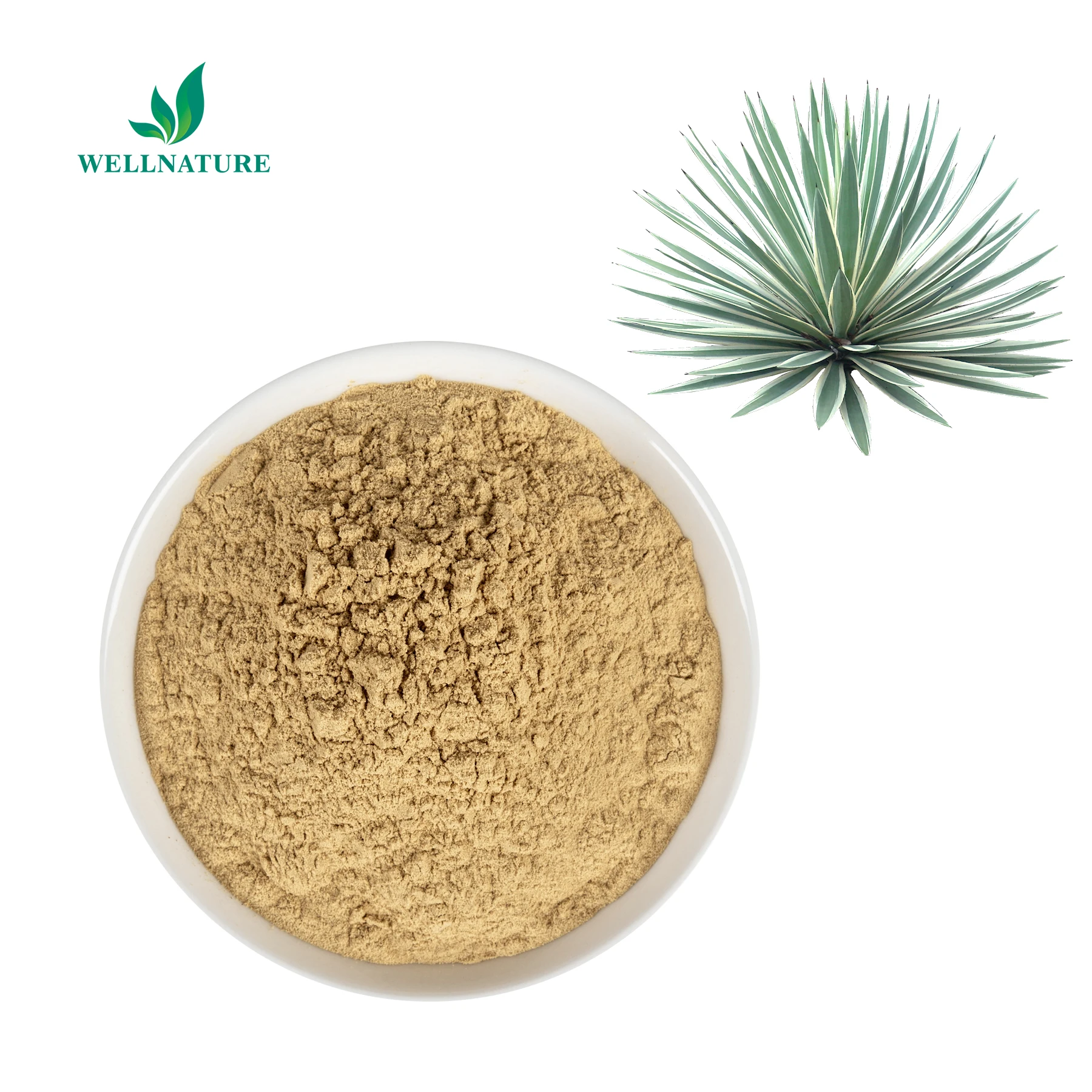 Free Sample Natural Herbal Extract Schidigera Yucca Extract Saponins 30% 60% Yucca Extract Powder