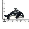 Canadian killer whale