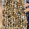 Natural Picture Jasper Nugget Beads
