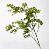 [18]Feuilles de menthe verte