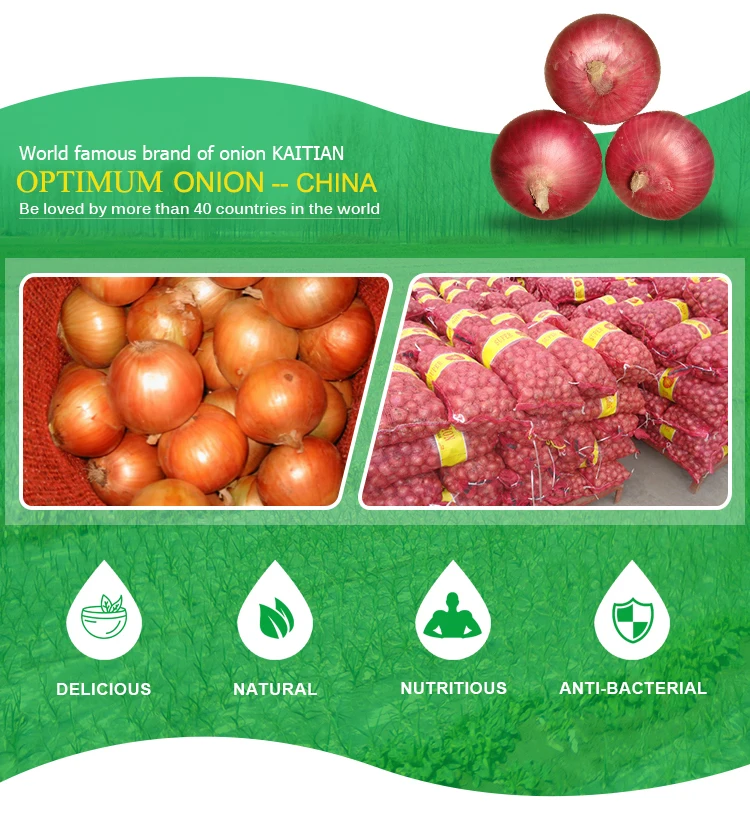 Fresh Onion Fresh Shallot In Mesh Bags Supplier From China Shandong
