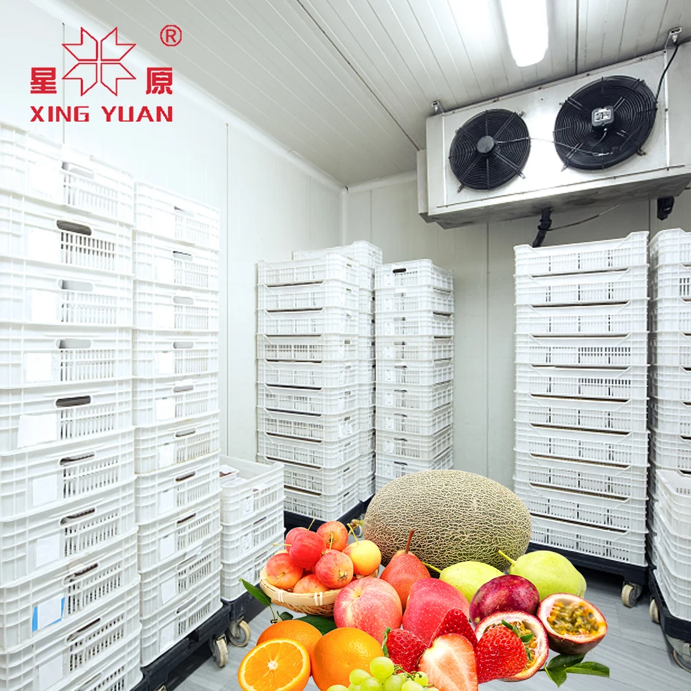 Cold Storage Room  Freezer Cold Room Manufacturer Cold Storage 1000 Ton Capacity