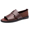 colorful 25666 Brown
