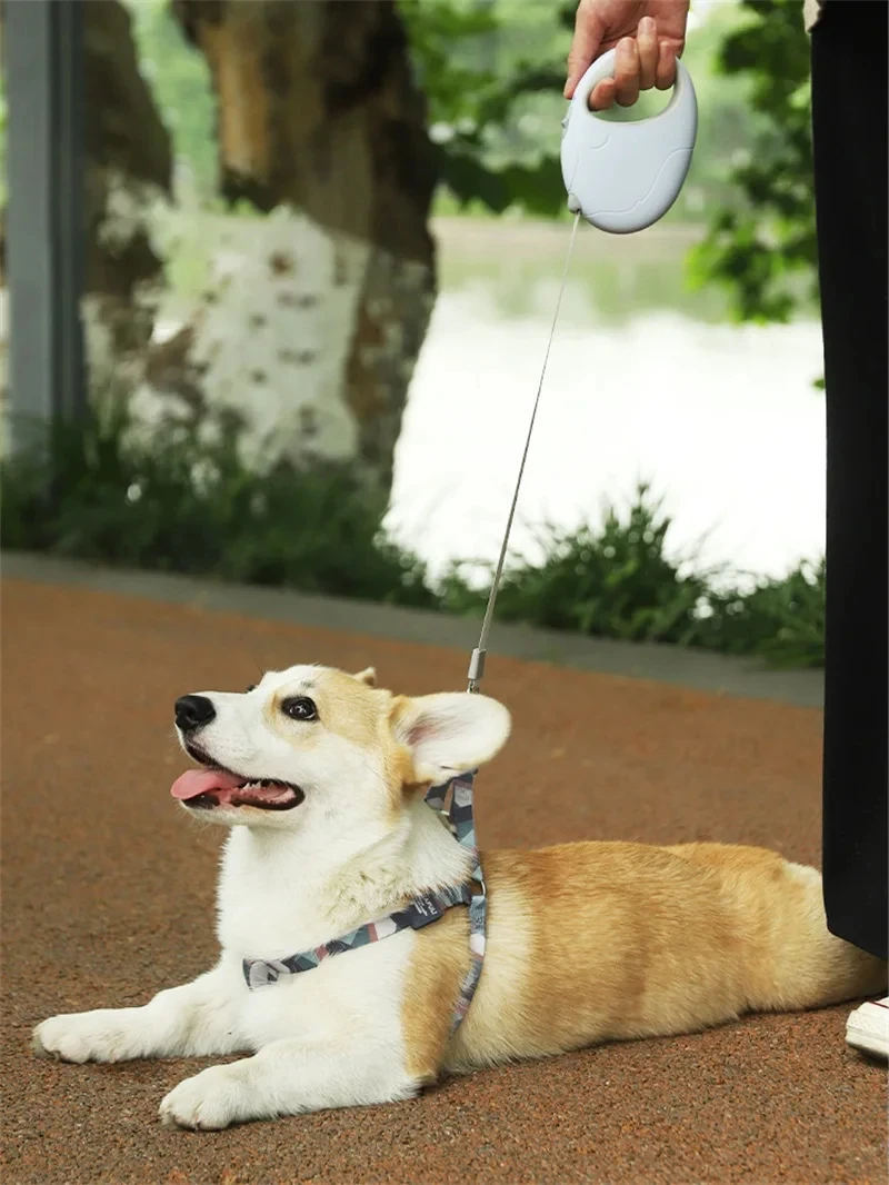 3M Automatic Retractable Dog Leash