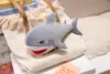 Gray shark