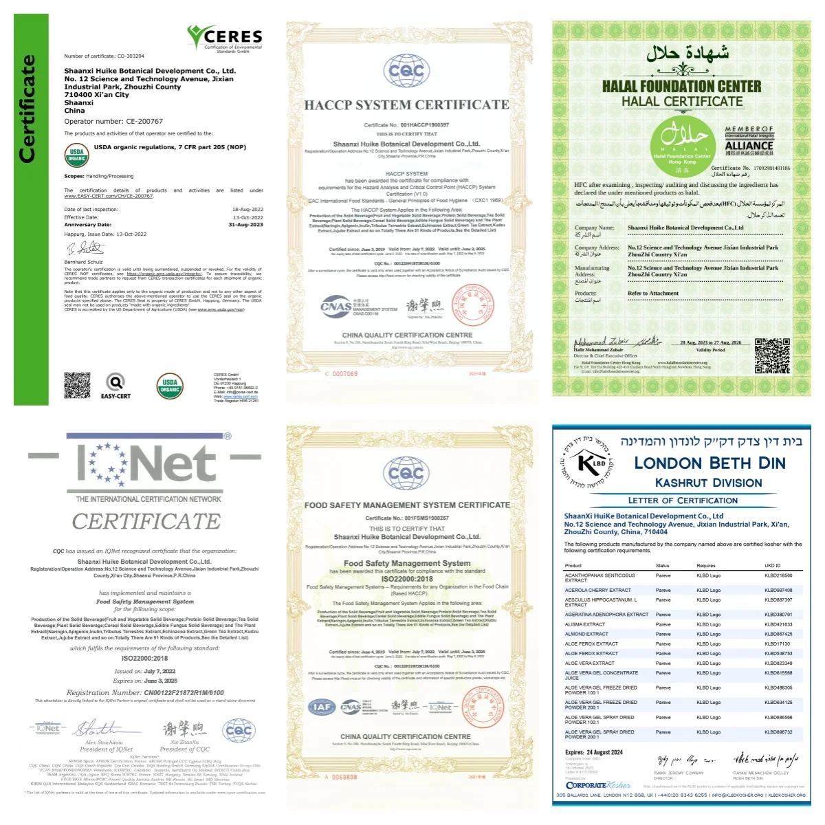 Factory Supply Beet Root Extract Powder High Quality Beta Vulgaris Extract Food Grade Pigment Powder