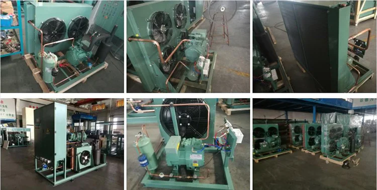 Bitzer-Compressor Air-Cooled Condensing Unit