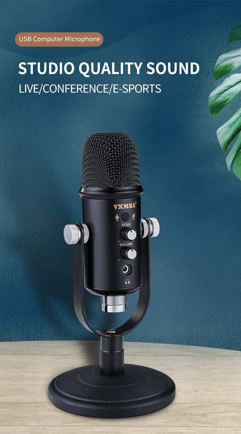 noise cancelling studio microphone
