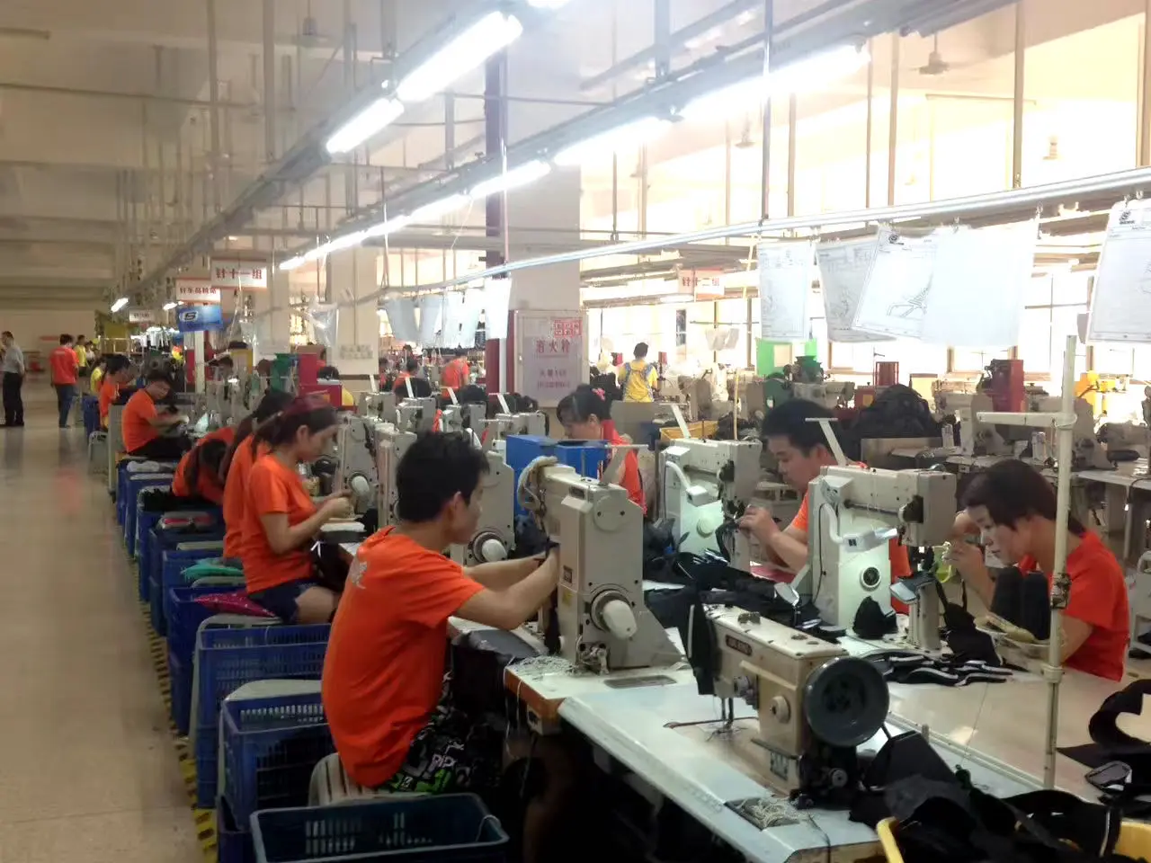 Quanzhou Dasheng Shoe Industry Co., Ltd.