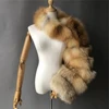 RED fox