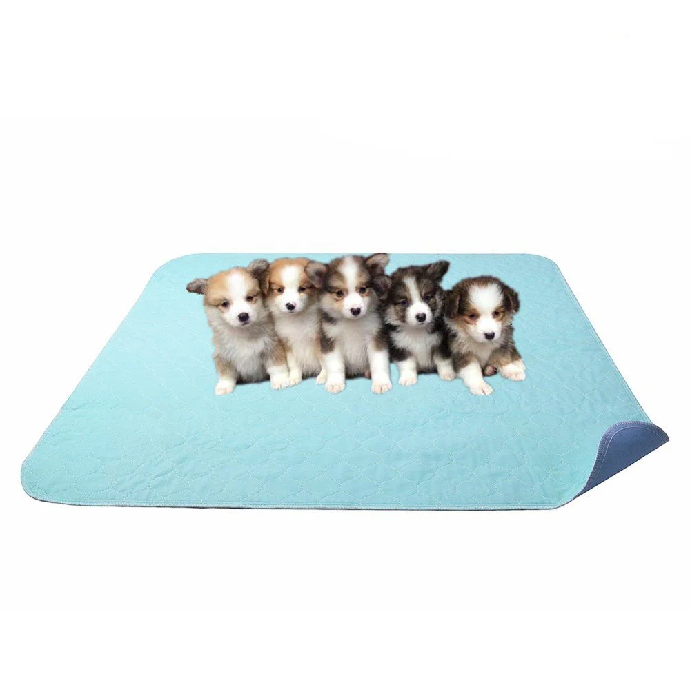 Petsmart Washable Pee Pads atelieryuwa.ciao.jp