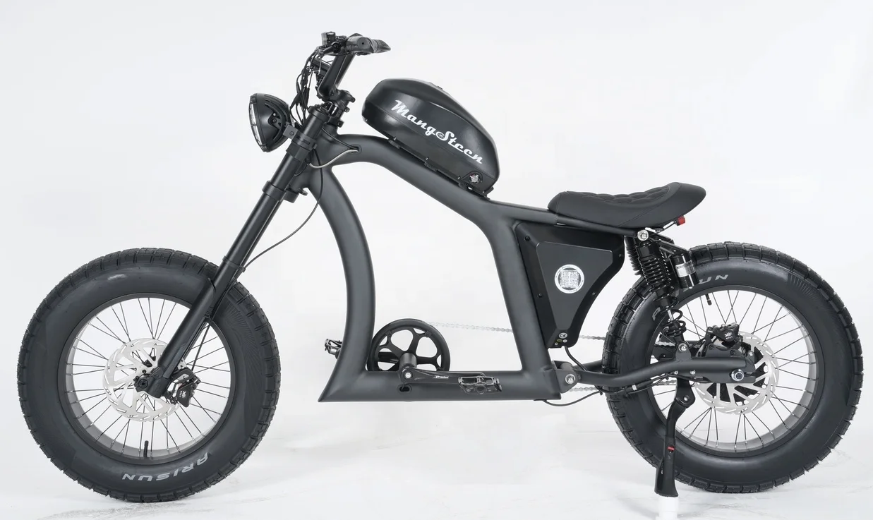 マンゴスチンEBIKE長距離バッテリー付きFT02電気シティバイク