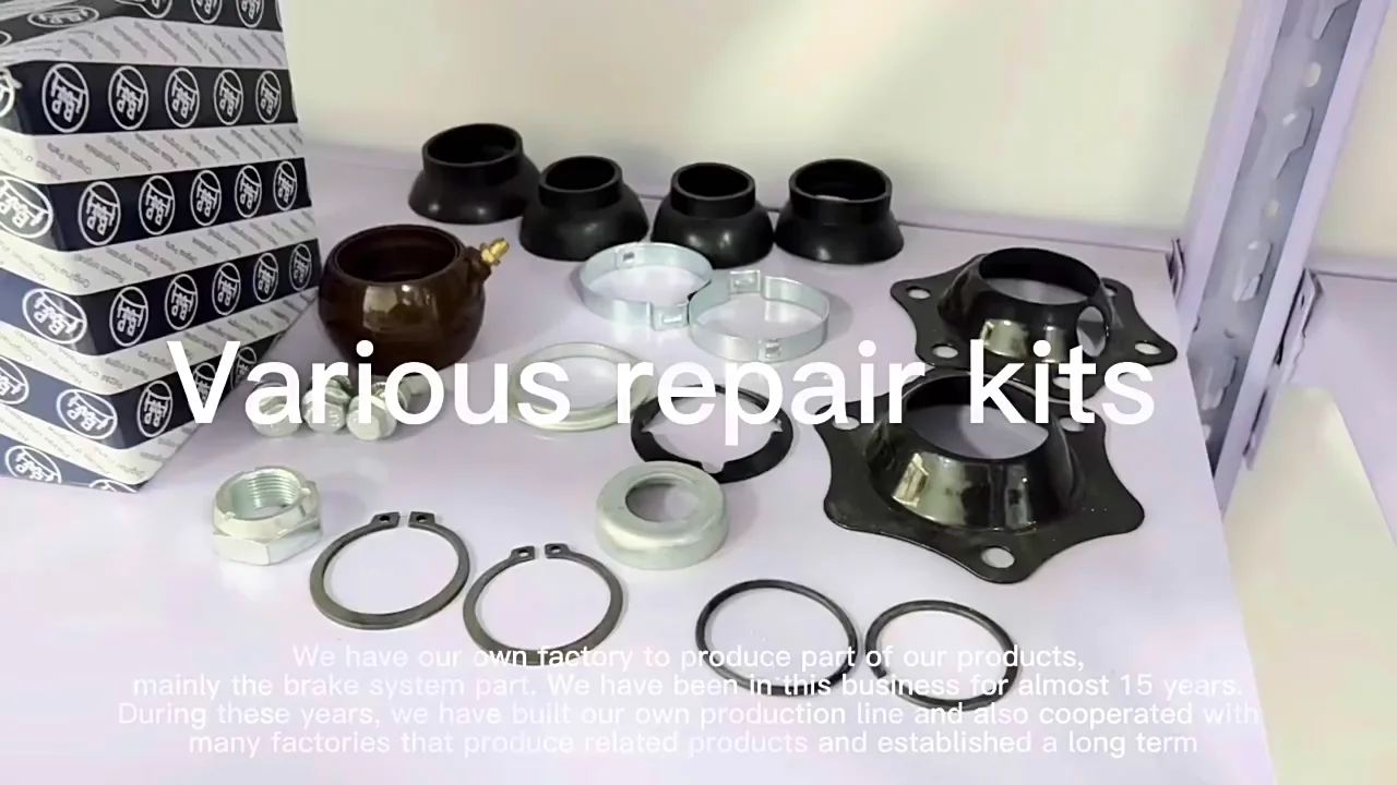 Brake Parts Supplier Germany Type S Camshaft Timing Set Repair Kit For ...