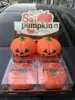 colorful Big pumpkin