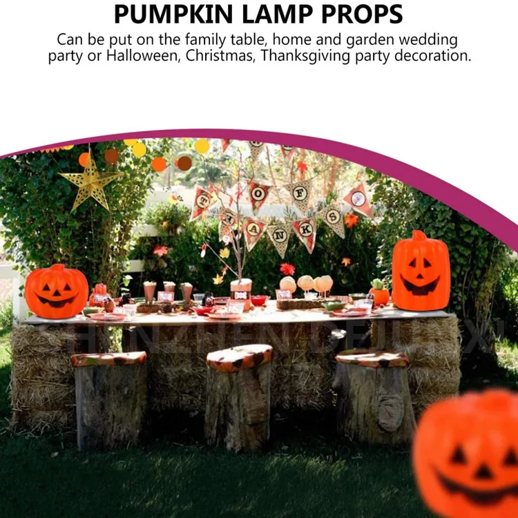 pumpkin lantern6