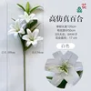 ดอกลิลลี่พิมพ์ 3 มิติแบบก้านสูง สีขาว