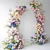 Rose-1