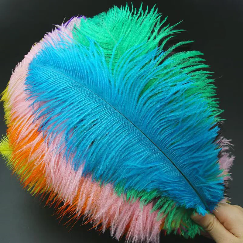Multi-color Ostrich Large Feather for Wedding Decoration South Africa Bird Real  Art Carnival Costume