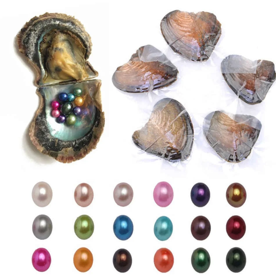 20pcs Individual Wrapped Akoya Oyster with Natural Oval Round Pearls Rainbow OV 