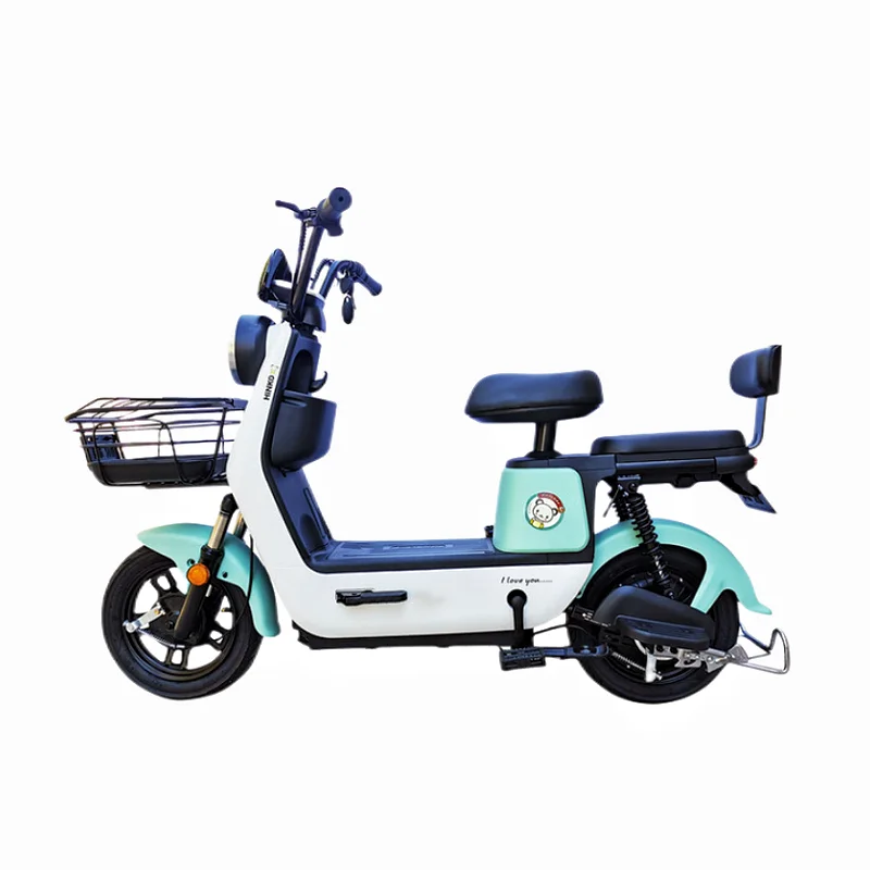 Gros pneu 1000w vélo électrique Chine gros VTT électrique rétro