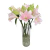 Lirio de Pascua rosa