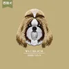 16 SHIH TZUS