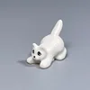 Gato blanco gateando.