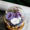 Dark Purple Rose