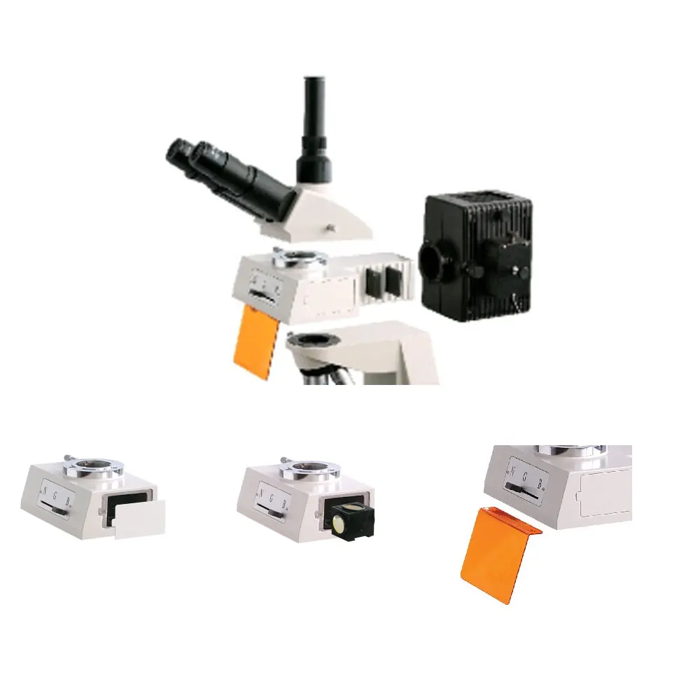 Digital Stereo Fluorescence Microscope Fluorescent Microscope