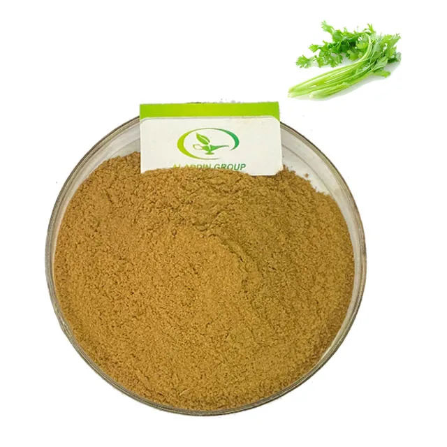 Halal Best Price High Quality Celery Extract Powder Buy Celery