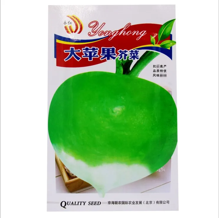 touchhealthy supply easy to plant big apple cabbage mustard