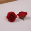 Red one