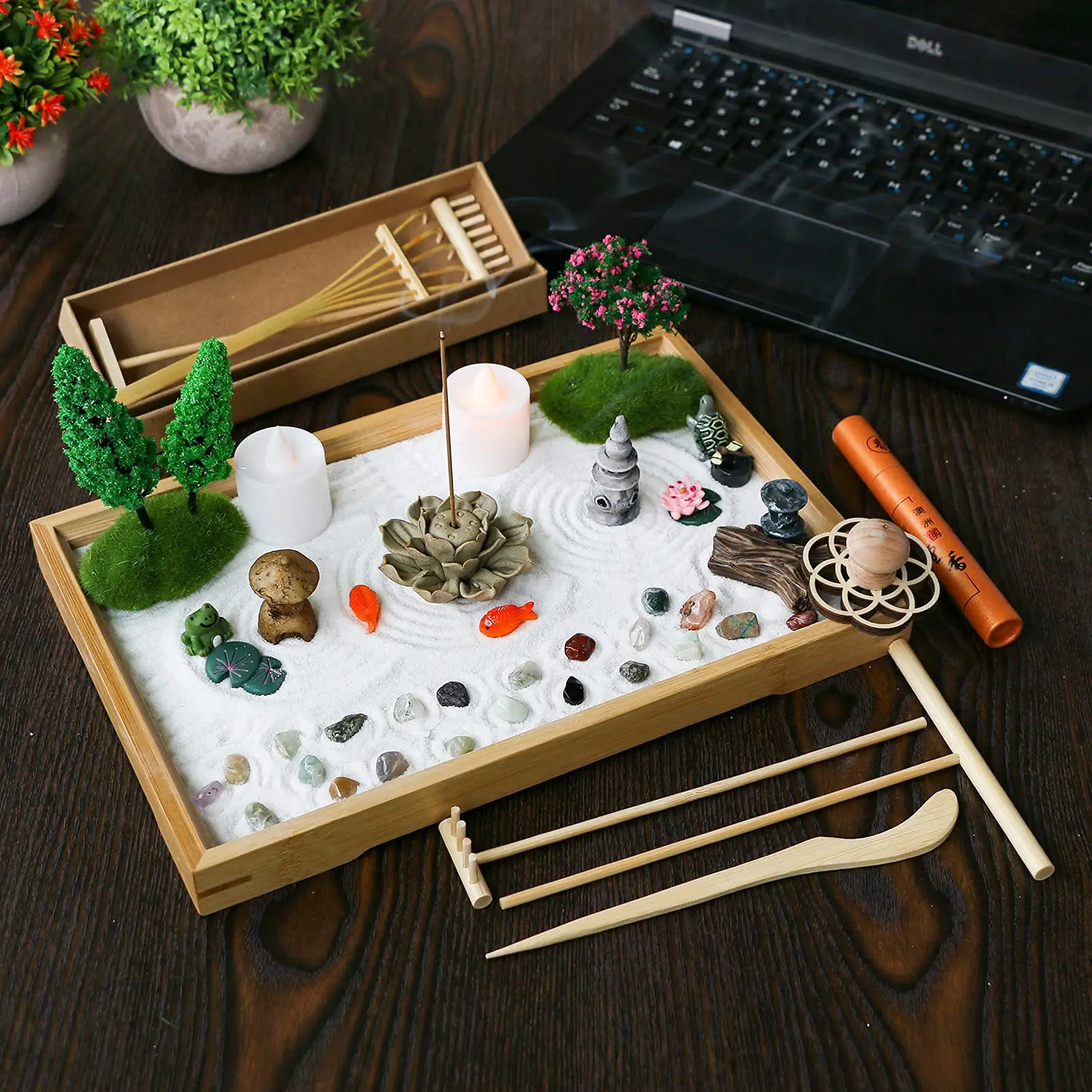 Personalized Miniature Zen Garden Kit - Bonsai Pot Grow Kit with