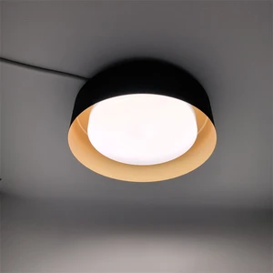 13\" Modern LED Flush Mount Lighting 20W 5 CCT Adjustable Ceiling Light Iron Base Home Lighting for Bedroom