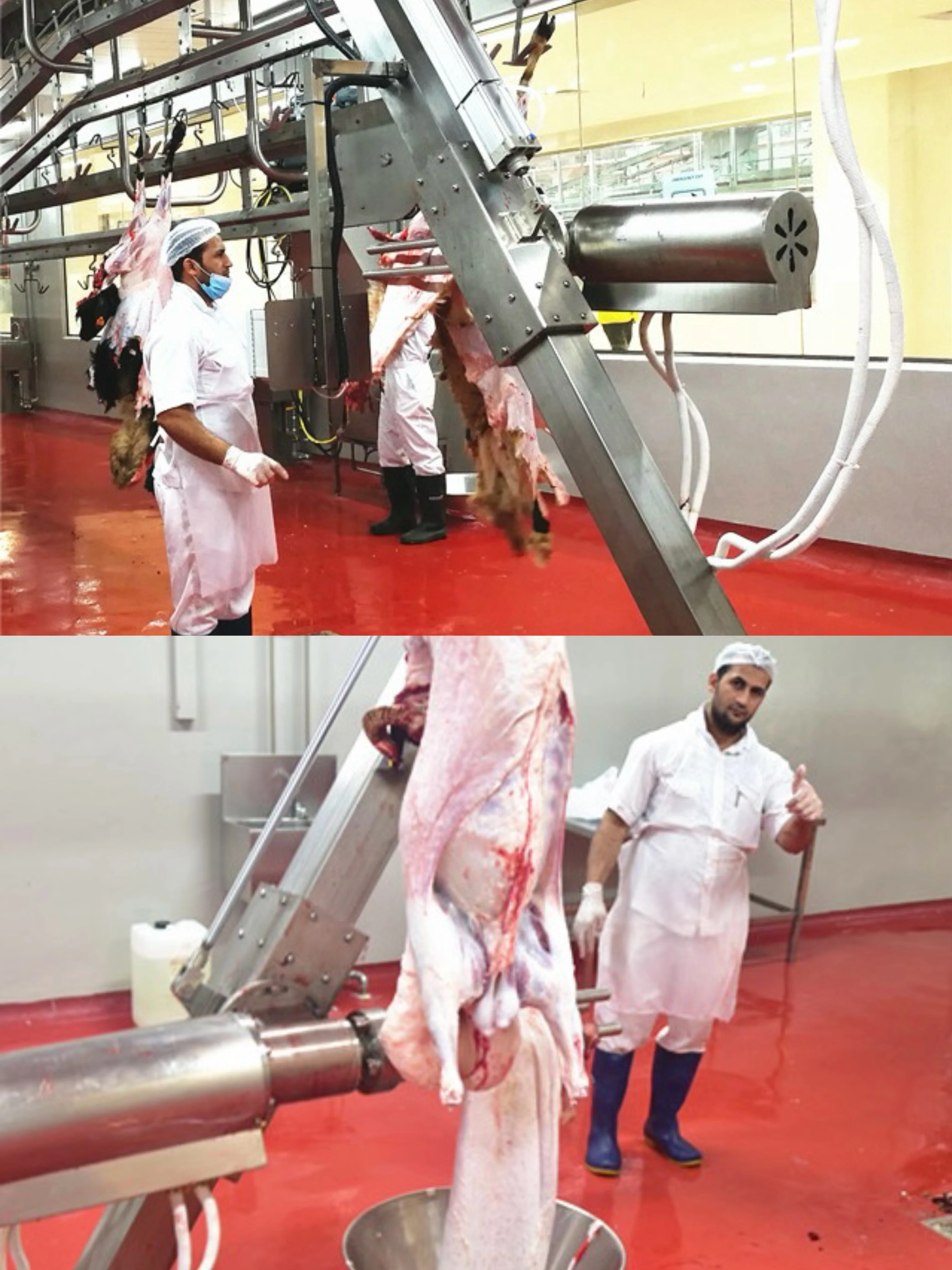 Complete sheep and goat slaughtering line equipment - efficient processing systems for meat factories and modern slaughterhouses