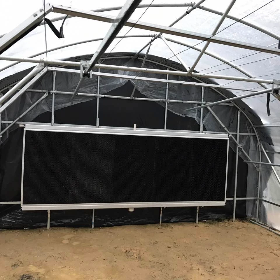 MAXPOWER Commercial Automated Light Deprivation Blackout Greenhouse