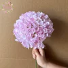 # 8 rosa viola