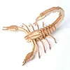 scorpion
