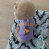 227C Ours Baylor violet