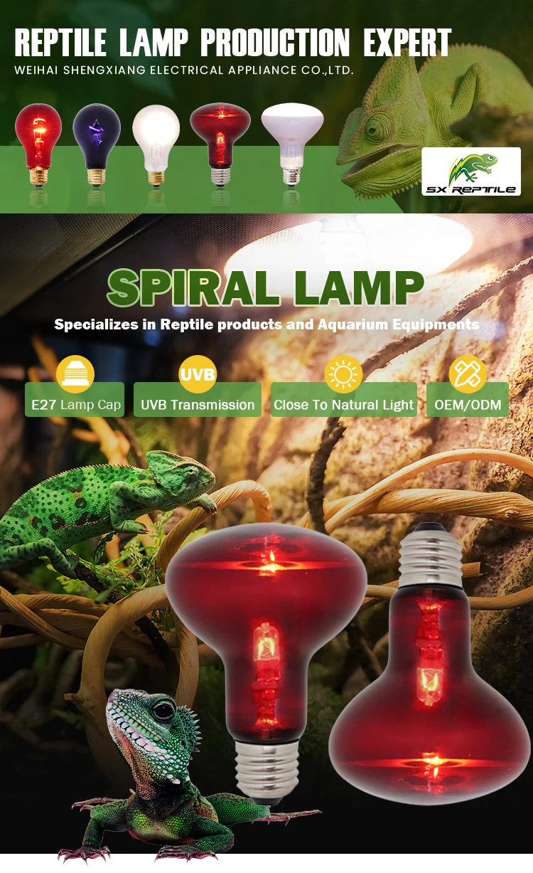 Hot Sale Reptile Daylight Red Light Halogen Bulb Heater Infrared