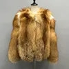Red Fox