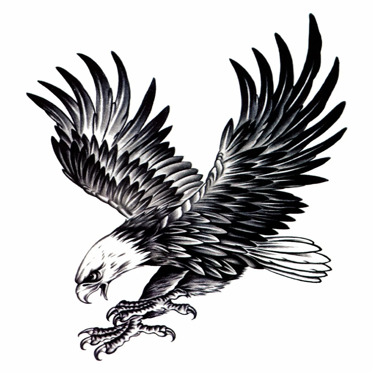 100000 Eagle tattoo Vector Images  Depositphotos