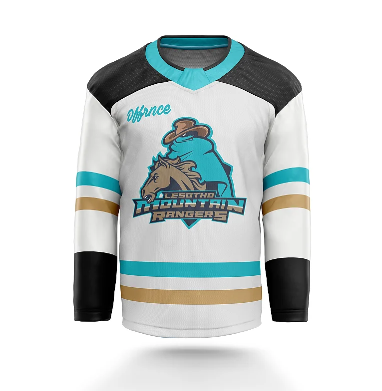 Source 2022 hot sale hockey team jerseys custom made hockey jersey
