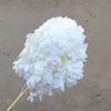 Ortensia in legno bianco