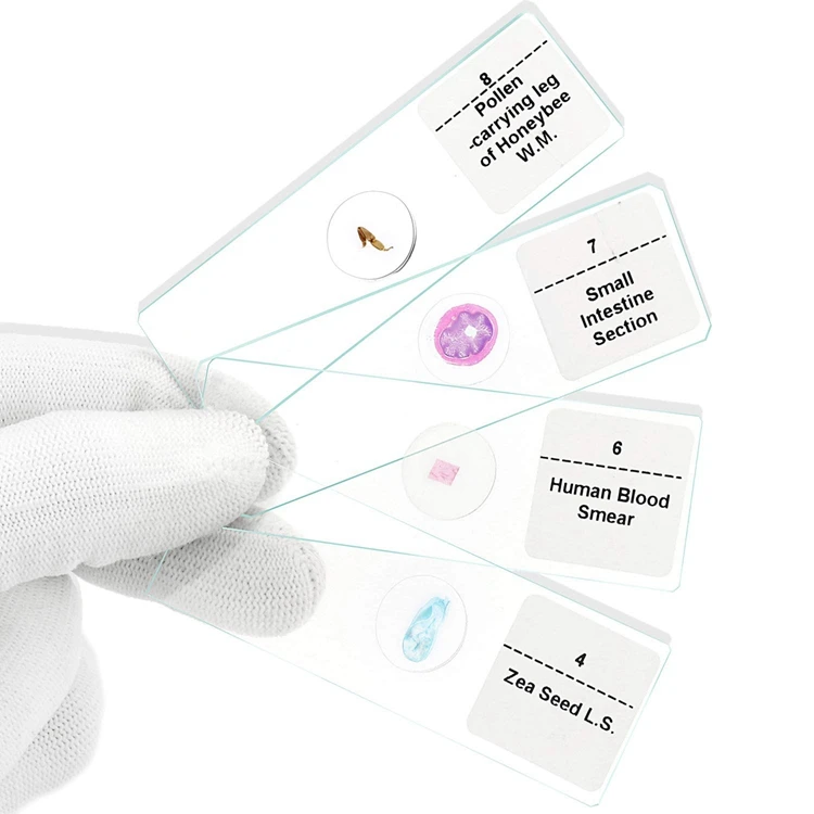 
 Микс 25 шт., набор медицинских стекол для биологического микроскопа на растениях, животных, микробиолога для исследований  