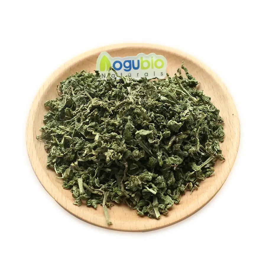 Supply Mentha Piperita Extract Peppermint Extract Peppermint Leaf